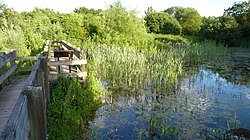 Winnersh Meadows Bridge